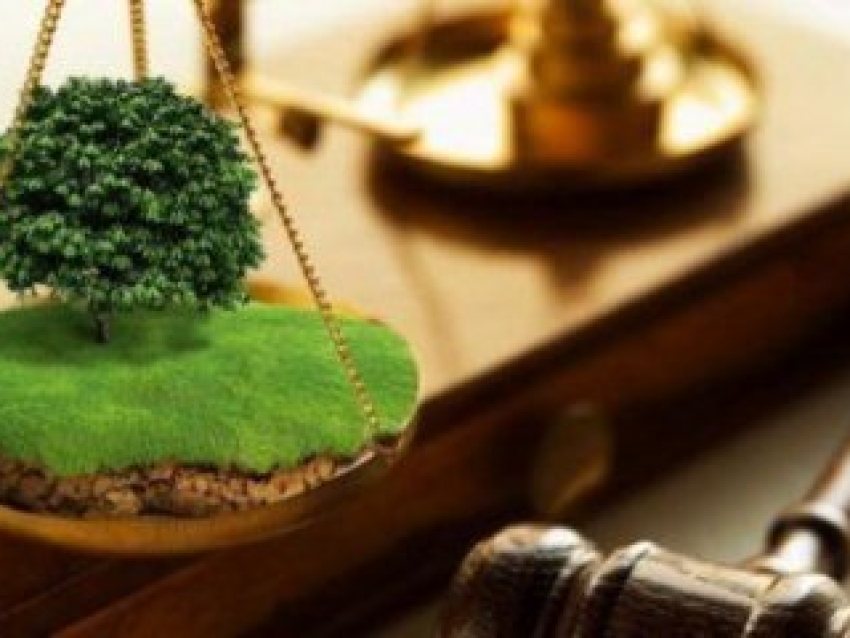 Информационное извещение № 110 от 21.05.2025 г.